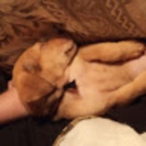 Meet your Posher, Zack